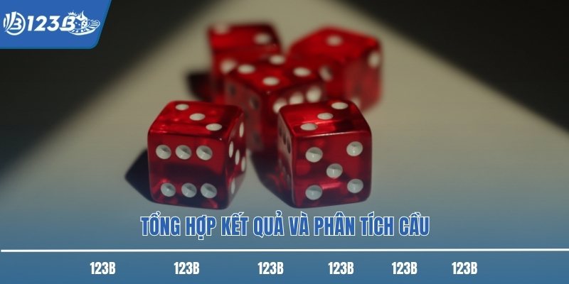 Tổng hợp kết quả và phân tích cầu